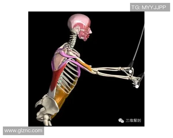 足球明星肌肉对比高清图解剖各大球星的力量与技巧之美 足球明星肌肉对比高清图解剖各大球星的力量与技巧之美