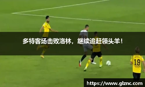 金年会
