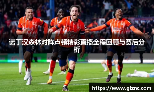 诺丁汉森林对阵卢顿精彩直播全程回顾与赛后分析